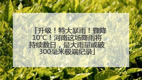 升级！特大暴雨！骤降10℃！河南这场降雨将持续数日，最大雨量或破300毫米极端纪录