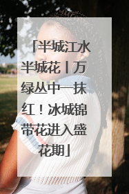 半城江水半城花丨万绿丛中一抹红！冰城锦带花进入盛花期