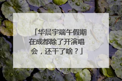华晨宇端午假期在成都除了开演唱会，还干了啥？