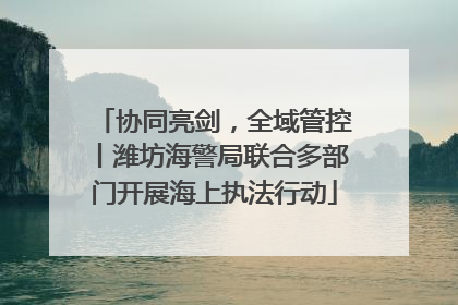 协同亮剑，全域管控丨潍坊海警局联合多部门开展海上执法行动