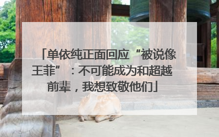 单依纯正面回应“被说像王菲”：不可能成为和超越前辈，我想致敬他们