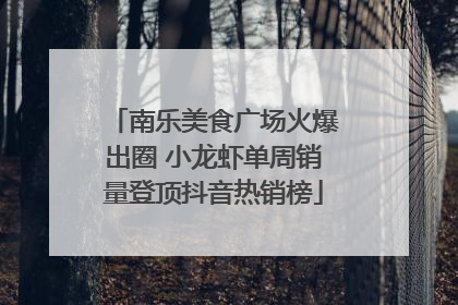 南乐美食广场火爆出圈 小龙虾单周销量登顶抖音热销榜