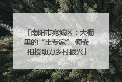 南阳市宛城区：大棚里的“土专家” 倾囊相授助力乡村振兴