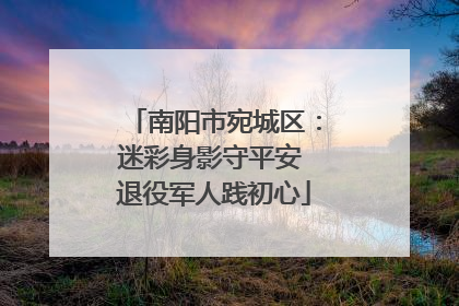 南阳市宛城区：迷彩身影守平安 退役军人践初心