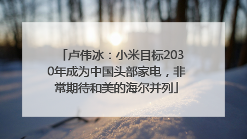 卢伟冰：小米目标2030年成为中国头部家电，非常期待和美的海尔并列