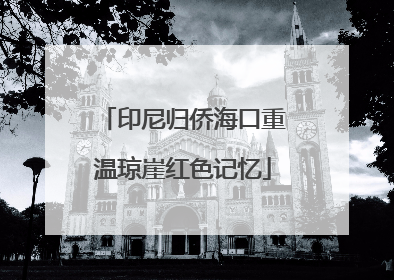 印尼归侨海口重温琼崖红色记忆