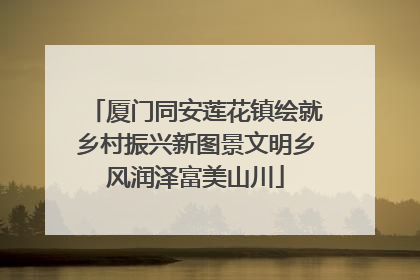 厦门同安莲花镇绘就乡村振兴新图景文明乡风润泽富美山川