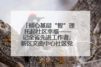 倾心基层“智”理 托起社区幸福——记全省先进工作者、新区文曲中心社区党委书记董世弘