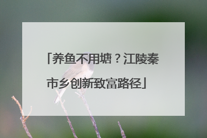 养鱼不用塘？江陵秦市乡创新致富路径