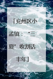 兖州区小孟镇：“三夏”收割话丰年
