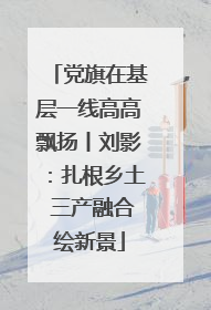 党旗在基层一线高高飘扬丨刘影：扎根乡土 三产融合绘新景
