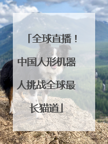 全球直播！中国人形机器人挑战全球最长猫道