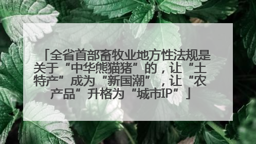 全省首部畜牧业地方性法规是关于“中华熊猫猪”的，让“土特产”成为“新国潮”，让“农产品”升格为“城市IP”