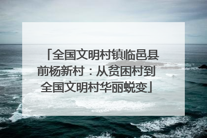 全国文明村镇临邑县前杨新村：从贫困村到全国文明村华丽蜕变