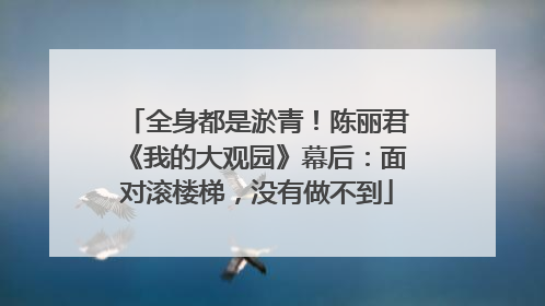 全身都是淤青！陈丽君《我的大观园》幕后：面对滚楼梯，没有做不到