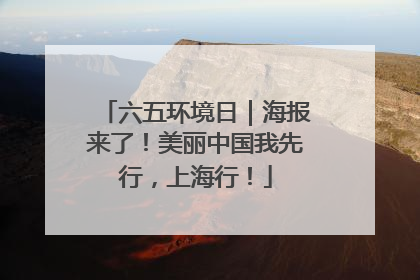 六五环境日｜海报来了！美丽中国我先行，上海行！
