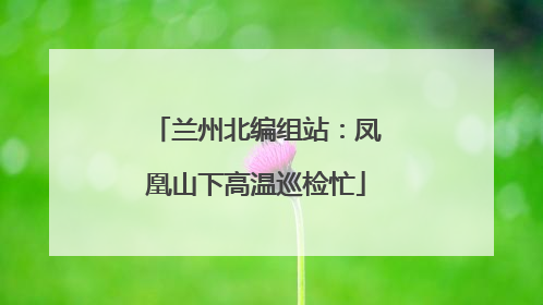 兰州北编组站：凤凰山下高温巡检忙