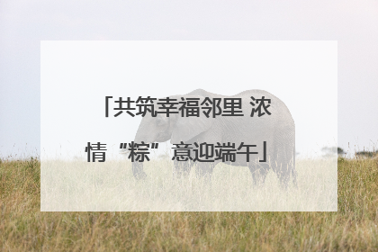 共筑幸福邻里 浓情“粽”意迎端午