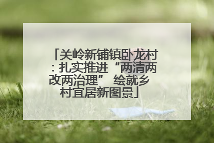 关岭新铺镇卧龙村：扎实推进“两清两改两治理” 绘就乡村宜居新图景