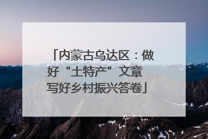 内蒙古乌达区：做好“土特产”文章 写好乡村振兴答卷