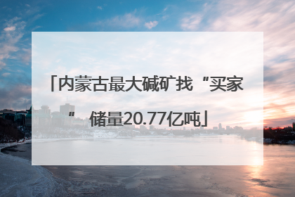 内蒙古最大碱矿找“买家” 储量20.77亿吨
