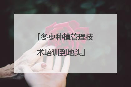 冬枣种植管理技术培训到地头