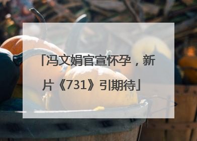 冯文娟官宣怀孕，新片《731》引期待