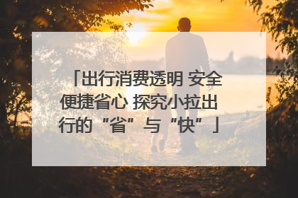 出行消费透明 安全便捷省心 探究小拉出行的“省”与“快”