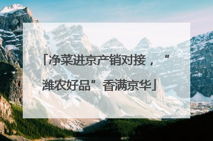 净菜进京产销对接，“潍农好品”香满京华
