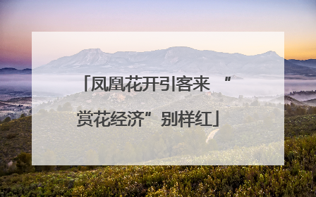 凤凰花开引客来 “赏花经济”别样红