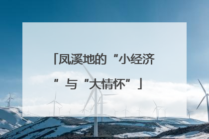 凤溪地的“小经济”与“大情怀”