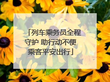 列车乘务员全程守护 助行动不便乘客平安出行