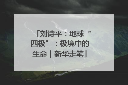 刘诗平：地球“四极”：极境中的生命｜新华走笔