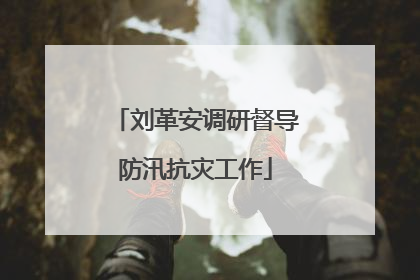 刘革安调研督导防汛抗灾工作