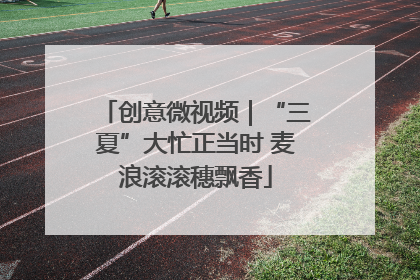 创意微视频｜“三夏”大忙正当时 麦浪滚滚穗飘香