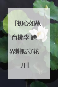 初心如故育桃李 跨界耕耘守花开