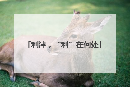 利津，“利”在何处