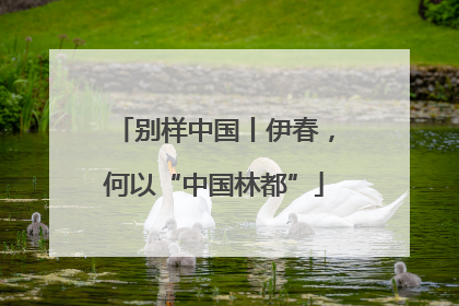 别样中国丨伊春，何以“中国林都”