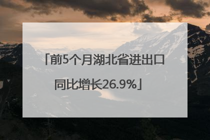 前5个月湖北省进出口同比增长26.9%