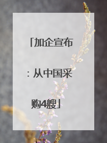 加企宣布：从中国采购4艘