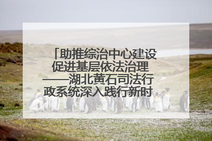 助推综治中心建设 促进基层依法治理——湖北黄石司法行政系统深入践行新时代枫桥经验