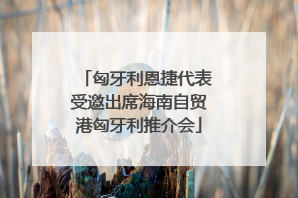 匈牙利恩捷代表受邀出席海南自贸港匈牙利推介会