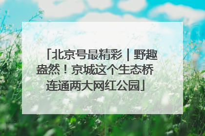 北京号最精彩｜野趣盎然！京城这个生态桥连通两大网红公园