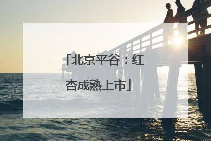 北京平谷：红杏成熟上市