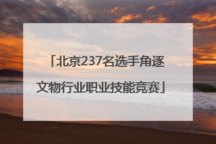 北京237名选手角逐文物行业职业技能竞赛
