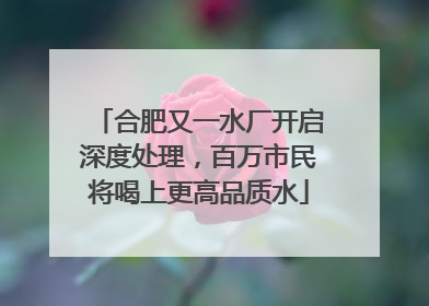 合肥又一水厂开启深度处理，百万市民将喝上更高品质水