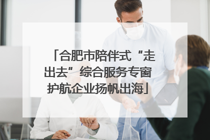 合肥市陪伴式“走出去”综合服务专窗护航企业扬帆出海