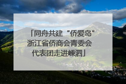 同舟共建“侨爱岛” 浙江省侨商会青委会代表团走进嵊泗