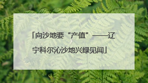 向沙地要“产值”——辽宁科尔沁沙地兴绿见闻