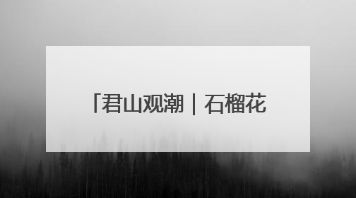 君山观潮｜石榴花开，峄城谱写乡村振兴的“新”篇章